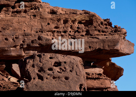 Sandstein-Felswand mit Löchern, Capitol Reef National Park, Utah, Vereinigte Staaten von Amerika Stockfoto