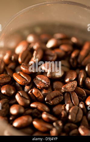 Geröstete Kaffeebohnen Stockfoto