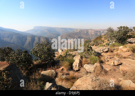 Blick auf den Blyde River Canyon von den umliegenden Klippen Stockfoto