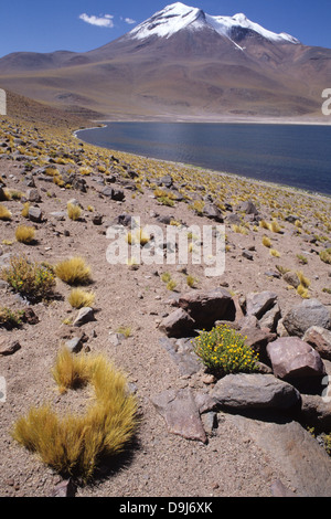 Lake Miniques und Mount Miñiques auf die Anden von Bolivien Stockfoto