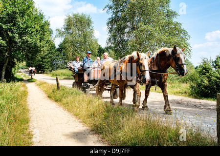 Kutschen in der Lüneburger Heide Stockfoto