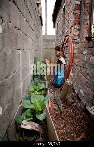 Den Salomonen Familie mit Kindern spielen, um zu Hause in Lavender Hill Kapstadt Evona Solomons Gemüsegarten abgeschlossen Bodenleben Stockfoto