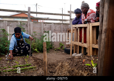 Erde Leben Training Sitzung Gemeinde in Gugulethu Teilnehmer unterrichtet notwendigen Fähigkeiten, um Bio-Gemüse zu schaffen Stockfoto