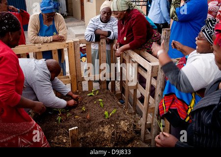 Erde Leben Training Sitzung Gemeinde in Gugulethu Teilnehmer unterrichtet notwendigen Fähigkeiten, um Bio-Gemüse zu schaffen Stockfoto