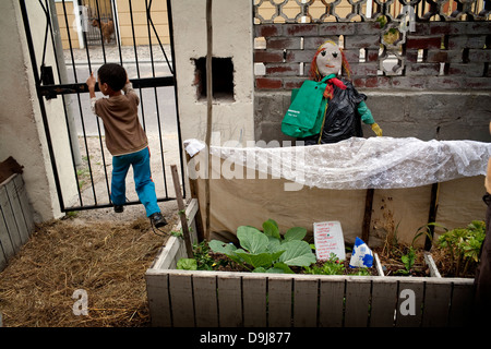 Den Salomonen Familie mit Kindern spielen, um zu Hause in Lavender Hill Kapstadt Evona Solomons Gemüsegarten abgeschlossen Bodenleben Stockfoto