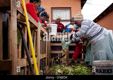 Erde Leben Training Sitzung Gemeinde in Gugulethu Teilnehmer unterrichtet notwendigen Fähigkeiten, um Bio-Gemüse zu schaffen Stockfoto