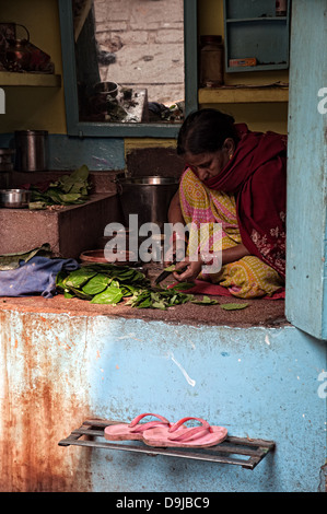 Eine Frau in ihrem Stall Paan, Varanasi, Benares, Uttar Pradesh, Indien Stockfoto