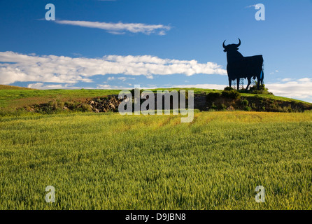Osborne Stier, Symbol für Spanien. Stockfoto