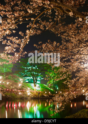 Takada Schloss mit Kirschblüten in Nachtbeleuchtung, Niigata, Japan Stockfoto