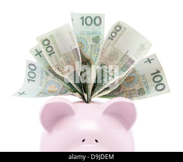 Sparschwein mit polnischen Geld. Clipping-Pfad enthalten. Stockfoto