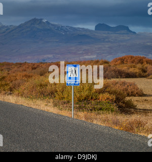 Herbstliche Landschaft, Mt. Kolbeinsstadarfjall, Snaefellsnes Halbinsel, Island. Stockfoto