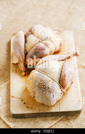 zwei Fasane Vogel gerupft und gefüllt auf Holz Stockfoto