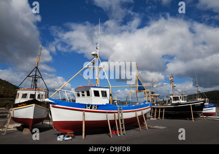 Den Hafen und Angeln, Boote, Passage East, Grafschaft Waterford, Irland Stockfoto