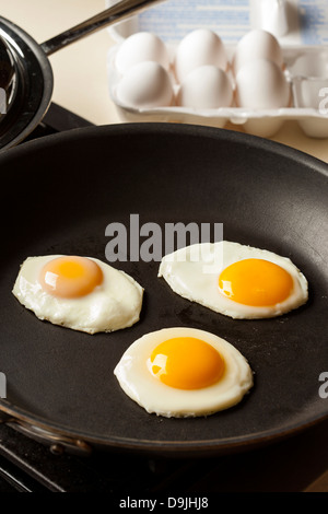 Bio Sunnyside up Ei bereit für das Frühstück Stockfoto