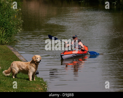 Mann im Kajak mit Golden Retriever auf der Flussufer, Bude Canal, Cornwall, UK 2013 warten Stockfoto