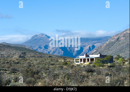 Karoo-Vegetation, Berge und Haus, Prinz Albert, Western Cape, Südafrika Stockfoto