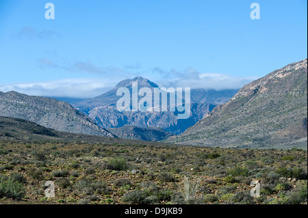 Karoo-Vegetation, Berge und Haus, Prinz Albert, Western Cape, Südafrika Stockfoto