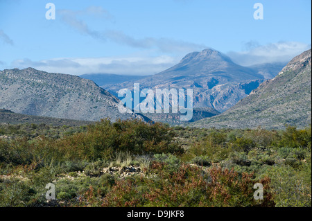 Karoo-Vegetation, Berge und Haus, Prinz Albert, Western Cape, Südafrika Stockfoto