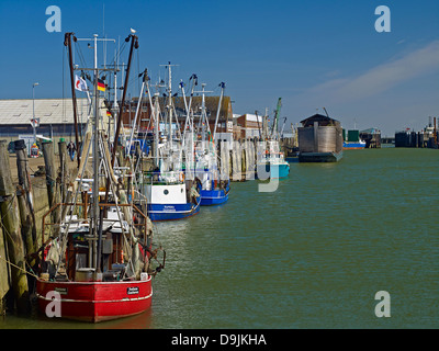 Krabbenkutter im Hafen von Cuxhaven, Niedersachsen, Deutschland Stockfoto