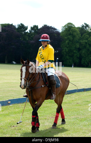 Nationaluniversität Polo Championships Stockfoto