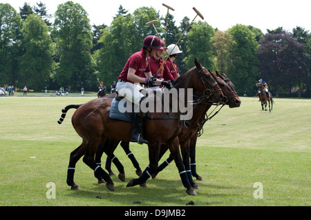 Nationaluniversität Polo Championships Stockfoto