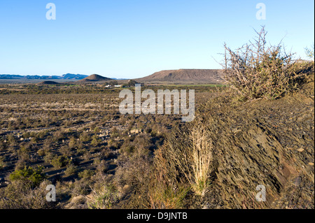 Karoo Vegetation und Bauernhof, Prinz Albert, Western Cape, Südafrika Stockfoto