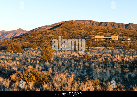 Karoo Vegetation und Lodge, Prinz Albert, Western Cape, Südafrika Stockfoto