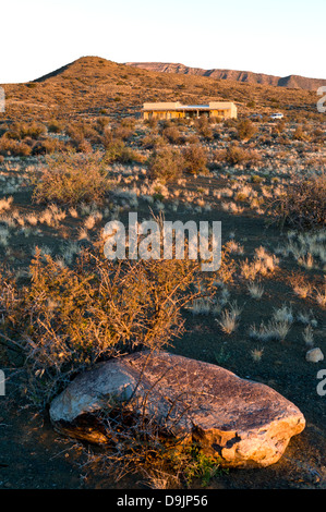 Karoo Vegetation und Lodge, Prinz Albert, Western Cape, Südafrika Stockfoto