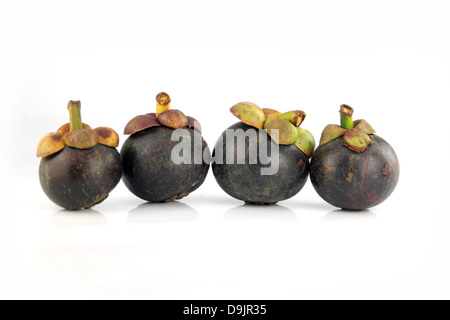 Die Mangostan-Frucht Geschmack süsse und heimischen Früchten in Thailand. Stockfoto