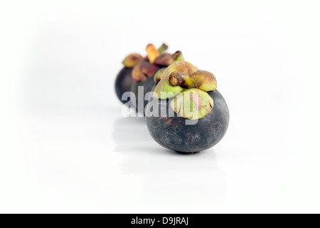 Die Mangostan-Frucht Geschmack süsse und heimischen Früchten in Thailand. Stockfoto