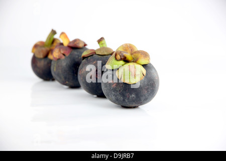 Die Mangostan-Frucht Geschmack süsse und heimischen Früchten in Thailand. Stockfoto