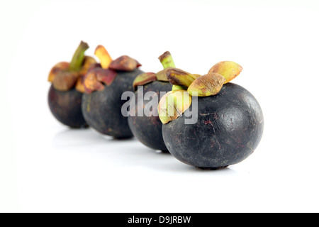 Die Mangostan-Frucht Geschmack süsse und heimischen Früchten in Thailand. Stockfoto