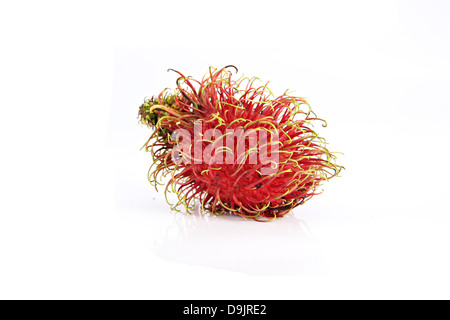 Die Rambutan Frucht auf dem weißen Hintergrund. Stockfoto