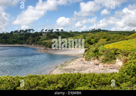 Porthallack Bucht südlich von Falmouth am Nordufer des Helford River Stockfoto