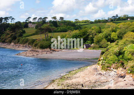 Porthallack Bucht südlich von Falmouth am Nordufer des Helford River Stockfoto