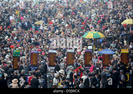 Royal Ascot, Berkshire, UK. 20. Juni 2013.  Verpackt Rasen, wie massive Menge warten, bis die Aktion beginnt am Ladies Day. Bildnachweis: John Beasley/Alamy Live-Nachrichten Stockfoto