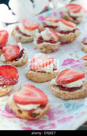 Mini-Scones mit Sahne und Erdbeeren Scheiben Stockfoto