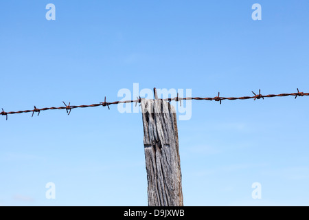 Rostiger Stacheldraht befestigt an einem verwitterten hölzernen Pfosten vor blauem Himmel Stockfoto