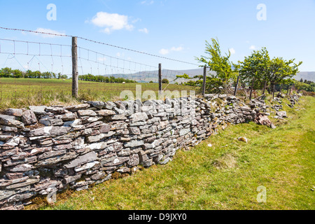 Trockenmauer, garniert mit Zaun mit Stacheldraht auf Mynydd Illtud üblich, Brecon Beacons National Park, South Wales, Australia Stockfoto