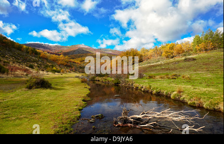 Lillas Fluss im Herbst bei Buchenholz "Hayedo de Tejera Negra" Nature Reserve. Guadalajara. Kastilien-La Mancha. Spanien. Stockfoto