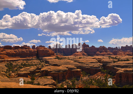 Nadeln-Bezirk Stockfoto