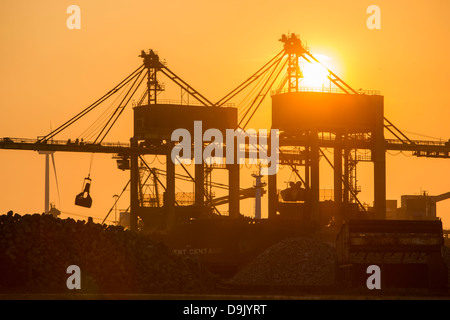 Krane arbeitet entladen Importkohle bei Tata Steel in Ijmuiden, Niederlande bei Sonnenuntergang. Stockfoto