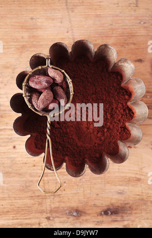 Kakaobohnen in Sieb mit Kakaopulver im Hauptgeschäft auf Holz Hintergrund Stockfoto