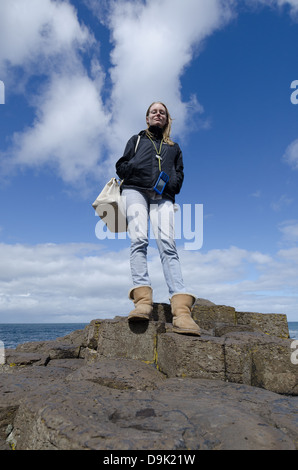 Die Giants Causeway, Antrim, Nordirland Stockfoto