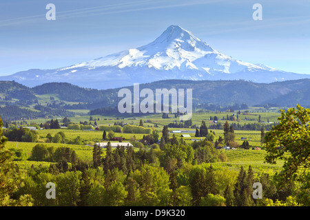 Mt. Hood und Hood River Valley in Oregon Spring. Stockfoto