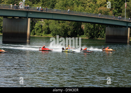 Außenbordmotor Boot Rennen Racer Regatta Fluss Wassersee schnellen speed Lock Haven, Susquehanna Fluß Clinton County, PA Pennsylvania Stockfoto