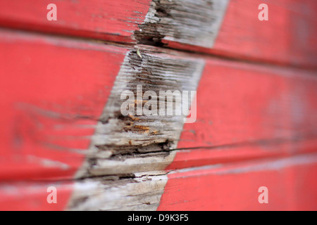 Holz-verwitterte Farbe bemalt rot Holz Vintage Wand Bauernhof Scheune Schuppen Nahaufnahme Makro Stockfoto