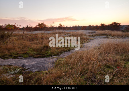 Eine karge Landschaft in Muskoka, Ontario, Kanada. Stockfoto