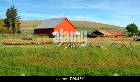 Rote Scheune in einem Land auf dem Bauernhof östlichen Washington PNW. Stockfoto