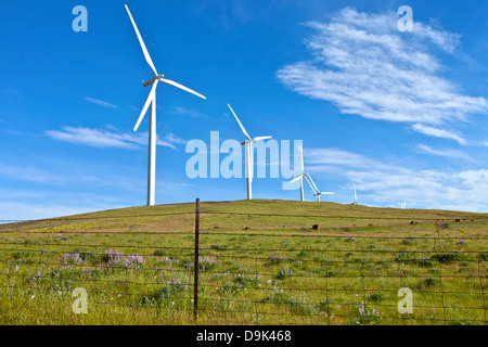 Windkraftanlagen Energie auf einem Hügel in Eastern Washington zu schaffen. Stockfoto